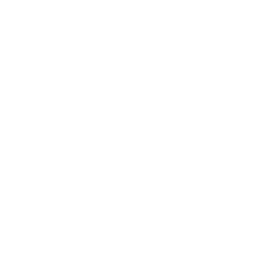 icon icon